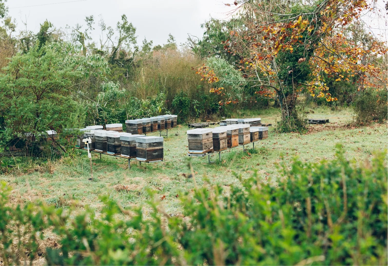 Isautier-Agri-J1-BrunoDennemont-05459@2x