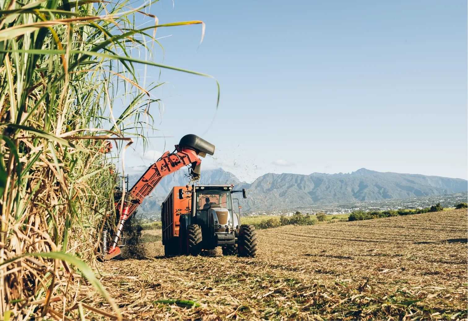 IsautierAgri4--09824@2x